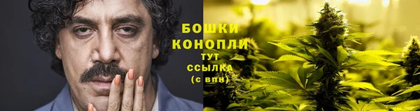 прущие грибы Лиски