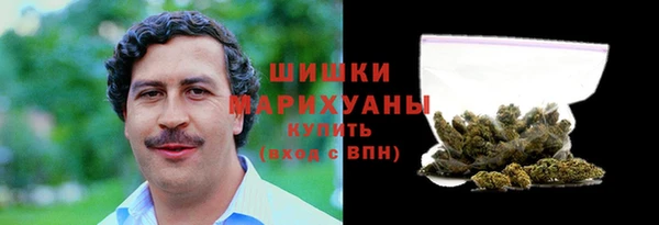 ПСИЛОЦИБИНОВЫЕ ГРИБЫ Лихославль