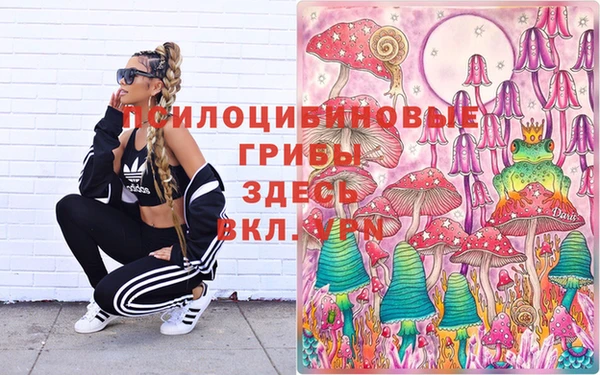 ПСИЛОЦИБИНОВЫЕ ГРИБЫ Лихославль