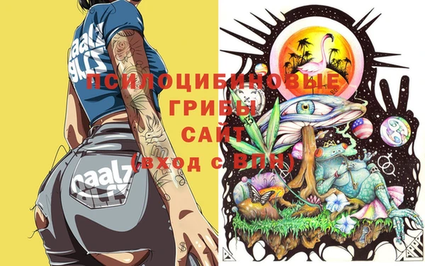 a pvp Липки