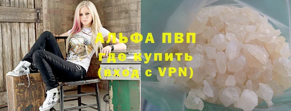 прущие грибы Лиски