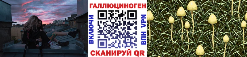 Купить где  Кирсанов  Псилоцибиновые грибы мицелий 